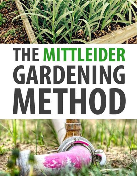 The Mittleider Magic Mix Experiment: Unveiling the Secret to Thriving Plants